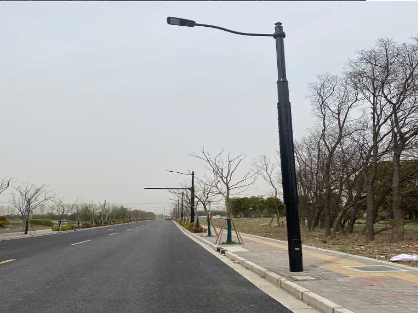 宜黄县上海综合杆 太阳能路灯工程